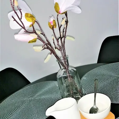 11 Mymara * Bešeňová